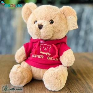 عروسک خرس تدی لباس هودی